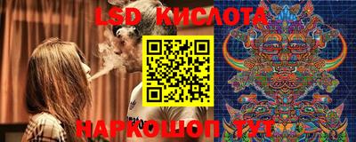 гидропоника Славгород