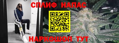 эйфоретик Сланцы