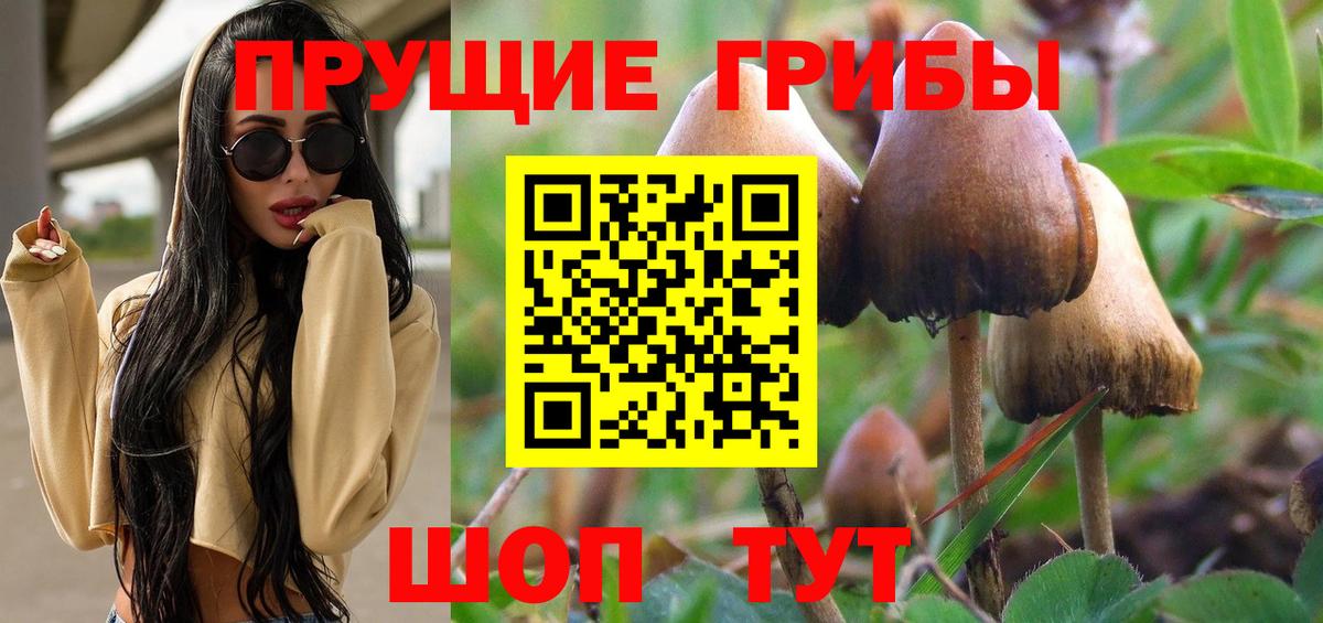 Санкт-Петербург  Псилоцибиновые грибы Psilocybe  Вход с VPN  Псилоцибиновые грибы мухоморы 