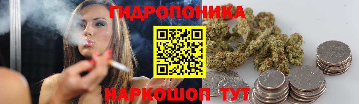 Шишки марихуана Bruce Banner  МАРИХУАНА планчик  Вход с VPN  Санкт-Петербург 